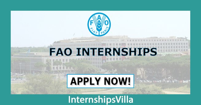 Fao Internships