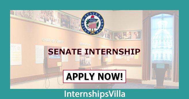 Senate Internship